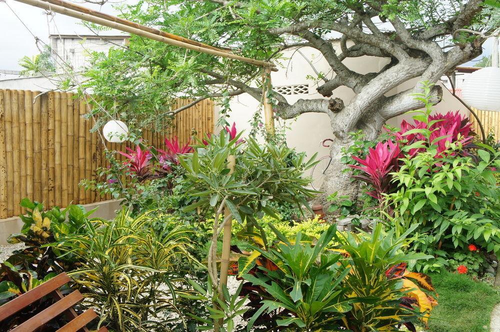 Rincon D'Olon Boutique Hotel Экстерьер фото